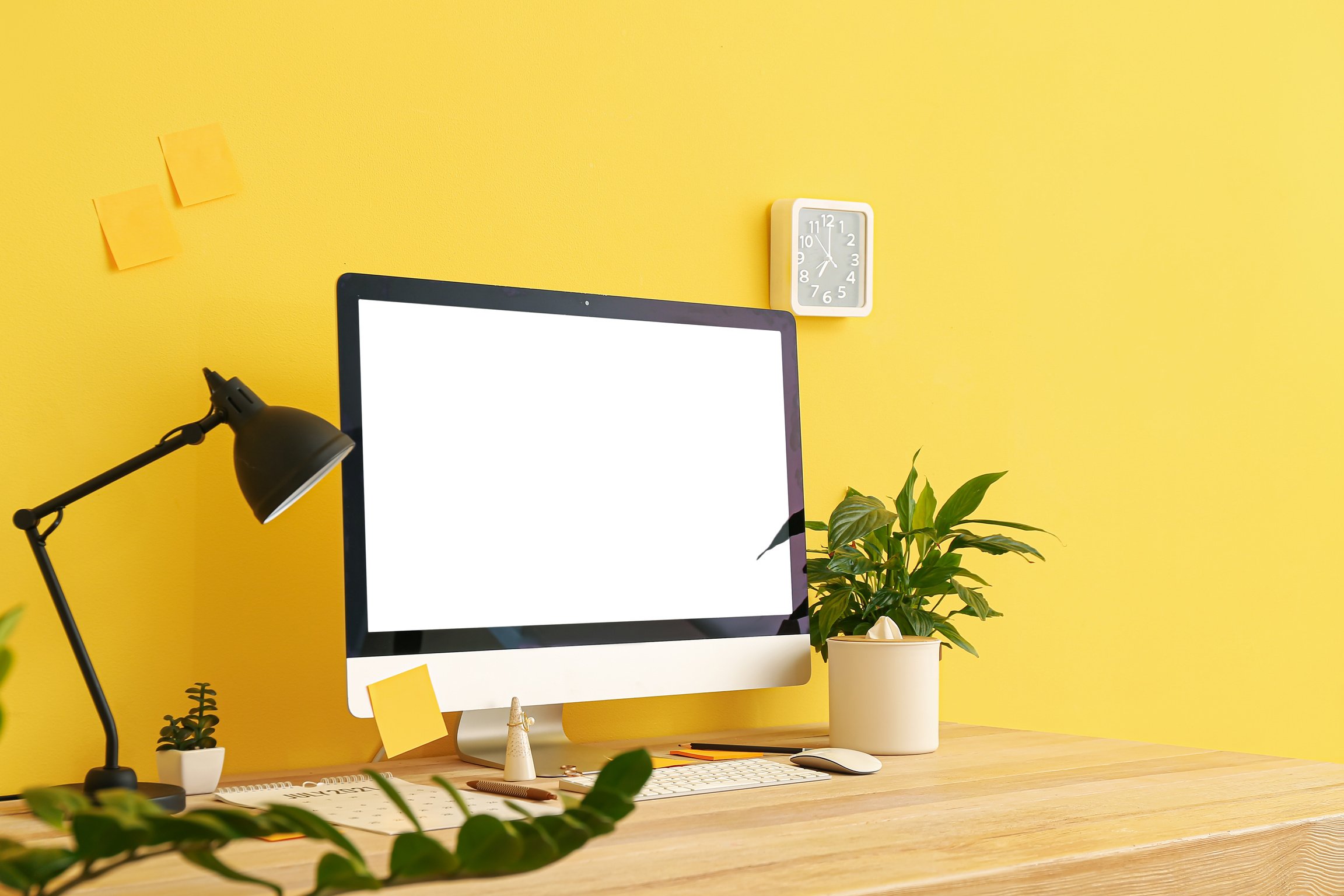 Modern Workplace with Computer and Decor near Color Wall